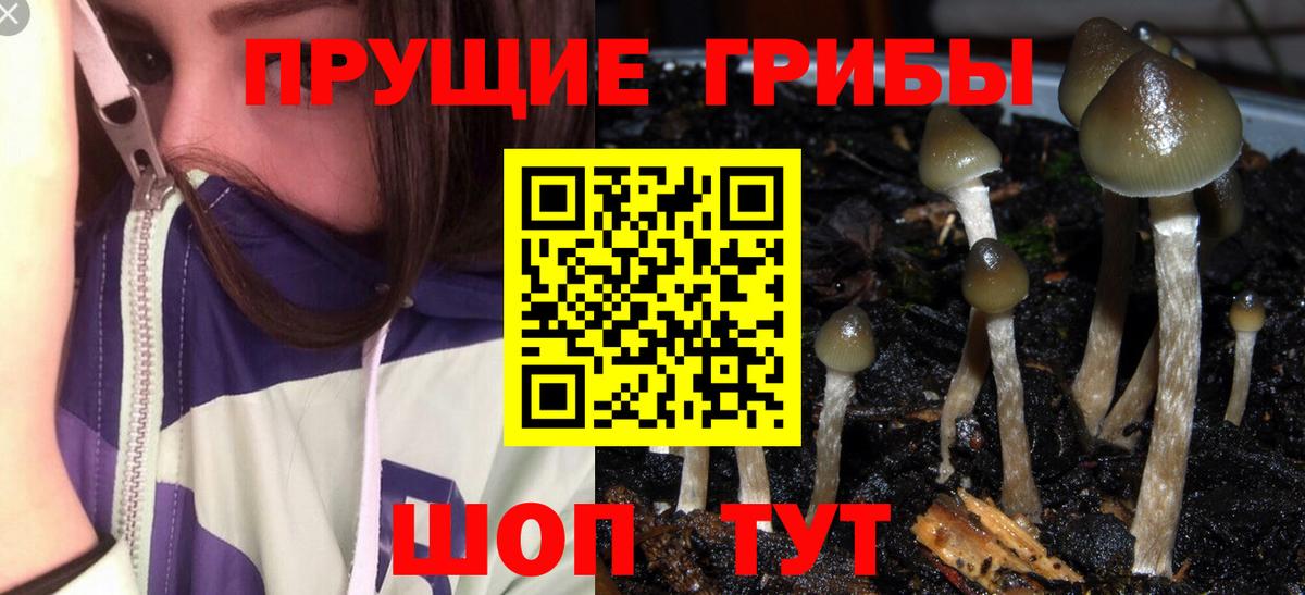 Кирово-Чепецк  Псилоцибиновые грибы GOLDEN TEACHER  Вход с VPN 